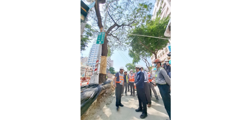 高雄市政府副市長林欽榮視察大順路雨豆樹 專家學者指導示範根系保護(圖)