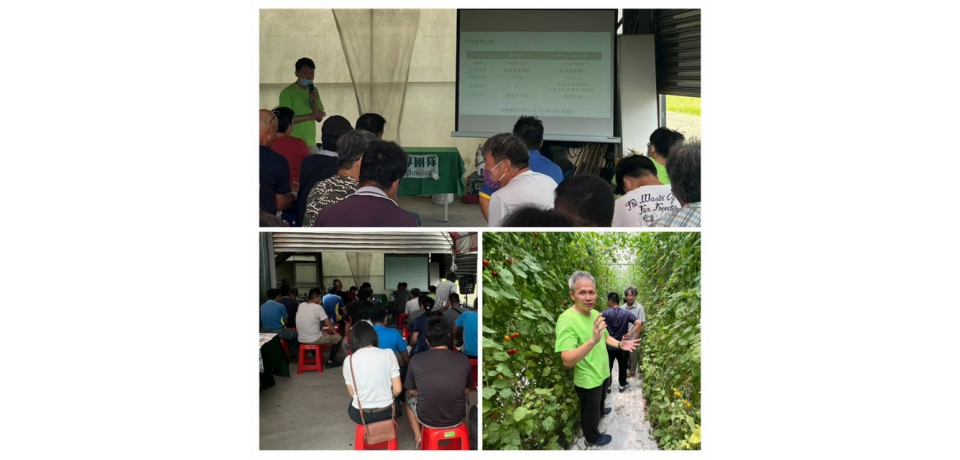 台塑企業與朝陽科大舉辦小番茄利用熊蜂品質觀摩會(圖)