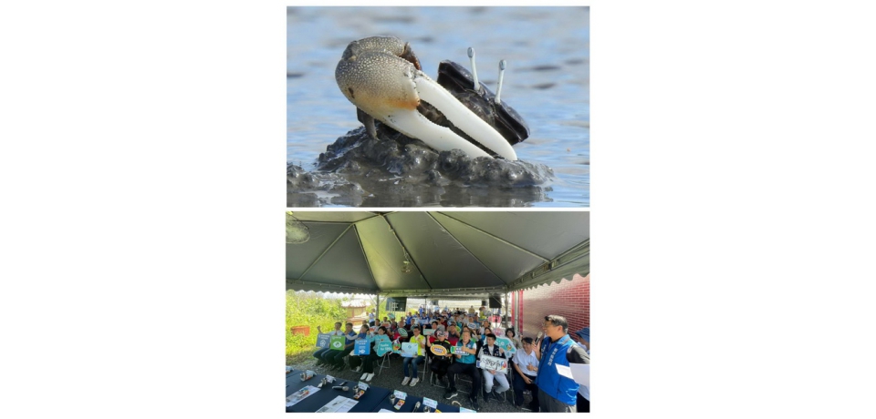 台塑及台塑石化疏伐紅樹林與雲縣府第四河川局為旱招潮蟹發聲(圖)