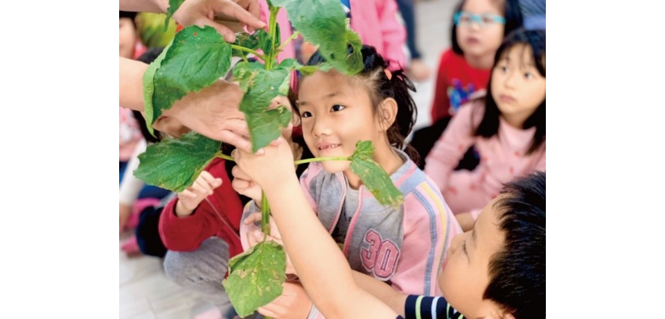 芳苑穟月美好笑海海　一起來感受濱海熱情(圖)