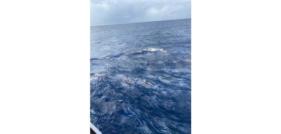 天使輪船東持續不作為  海委會第五次重罰新台幣200萬元(圖)