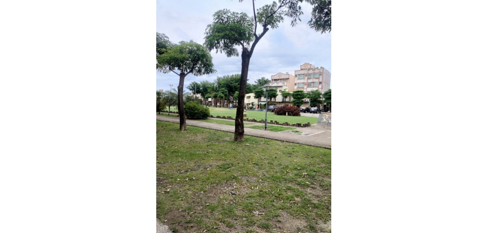 台電公司大林發電廠公園造景植樹減碳　嘉惠地方(圖)