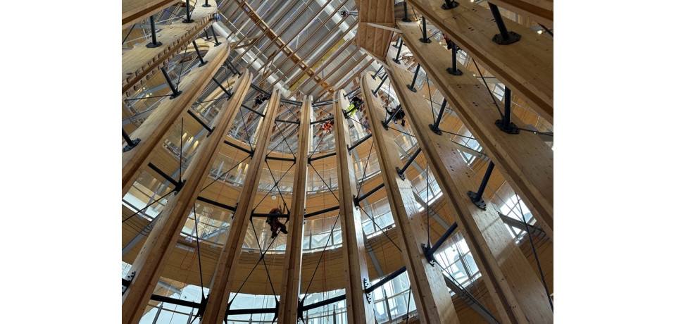 30.8公尺高的生命樹洗淨　繩索救援專家齊聚夢工廠(圖)