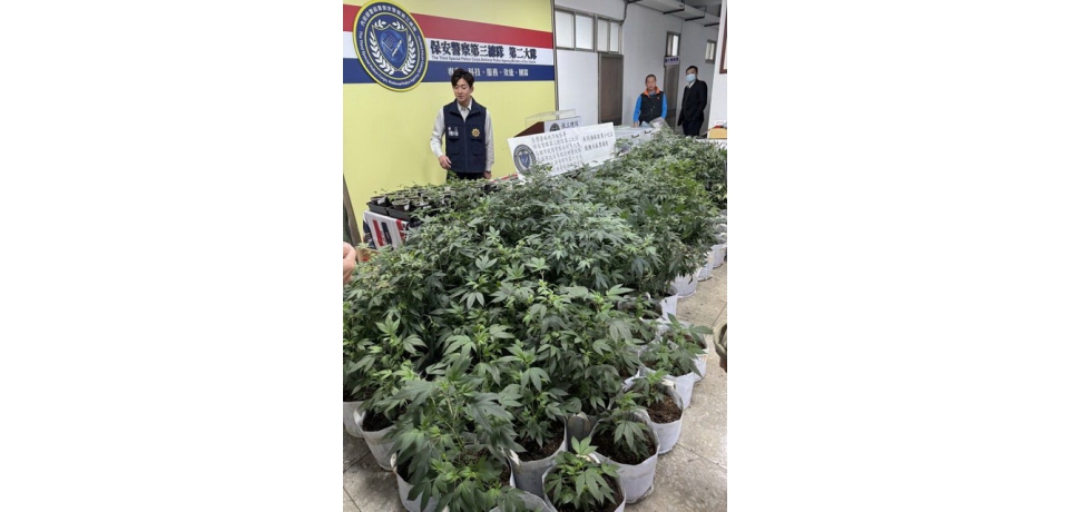 歇業小吃店飄麻味 保三警犬靈鼻破大麻農場(圖)
