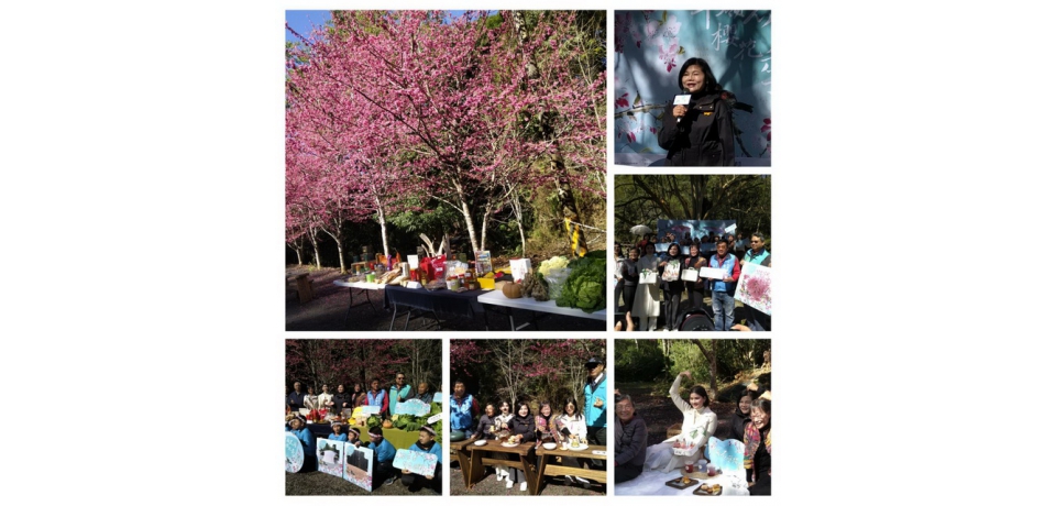 草嶺石壁櫻花季 張麗善邀來雲林走春看群花爭豔(圖)