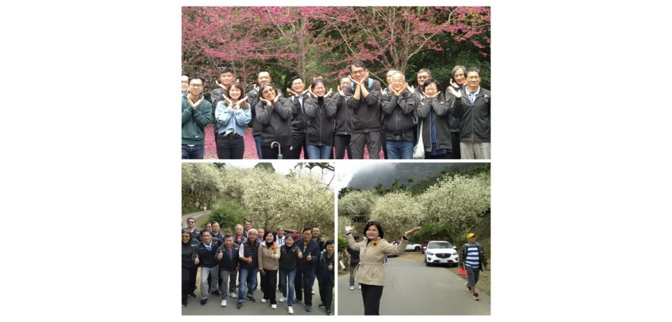 雲林縣政府主管創新學習 走訪草嶺石壁賞櫻路線(圖)