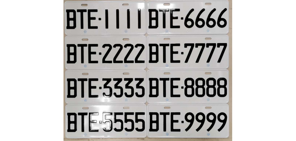 南投監理站二月二龍抬頭 邀民眾標好牌行車攏平安(圖)