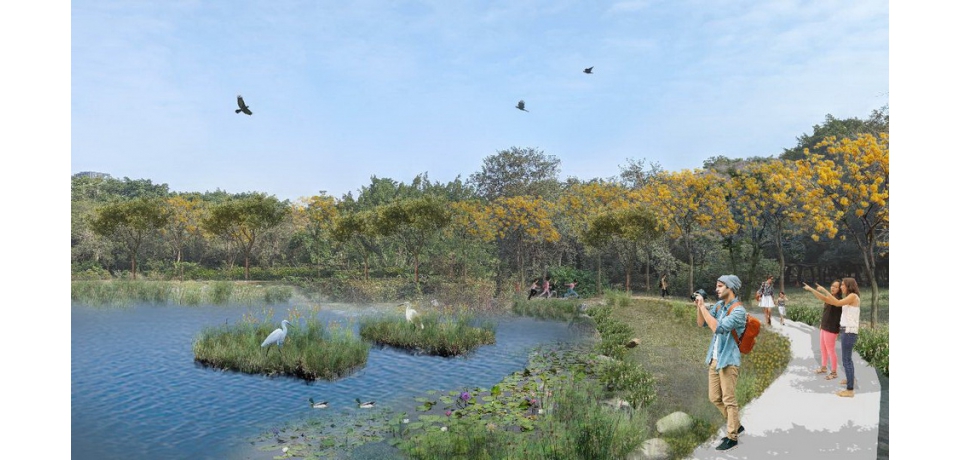 復甦水綠共融濕地環境 自管處跨域整合推動(圖)