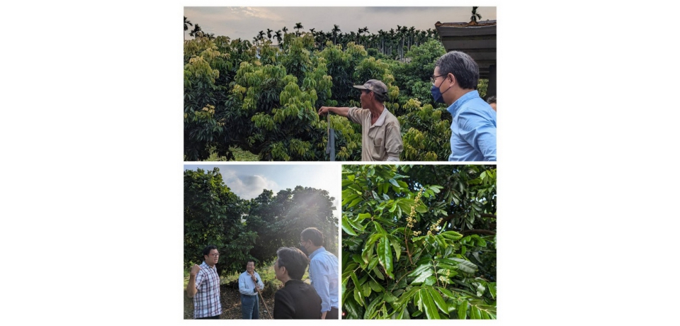 立委劉建國邀請農糧署黃冠富會勘農民災損果園(圖)