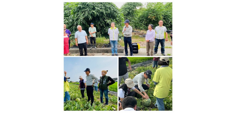 雲林芒果西瓜烏殼綠竹筍農損嚴重 劉建國爭取天災救助啟動(圖)