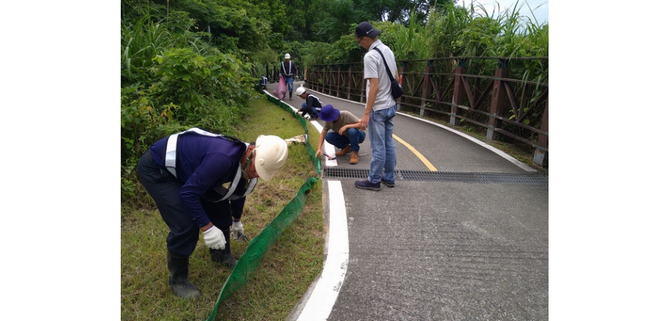 新北市政府打造淡水河護蟹廊道　共同守護陸蟹平安回家(圖)
