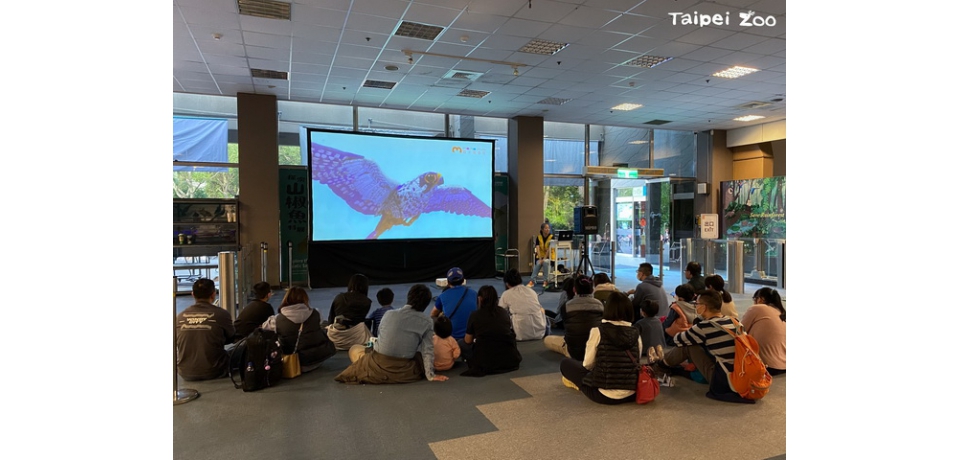 臺北動物園暑期夜間延長開放 自7月6日起連續9個週六一起「夜Fun動物園」(圖)