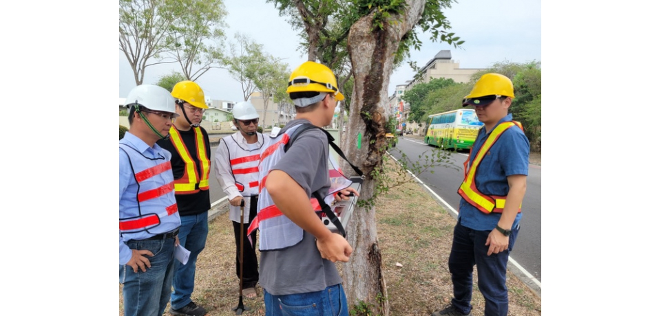 啟動樹木普查 嘉義市府建立資訊巡查系統 強化公安及綠色生態管理(圖)