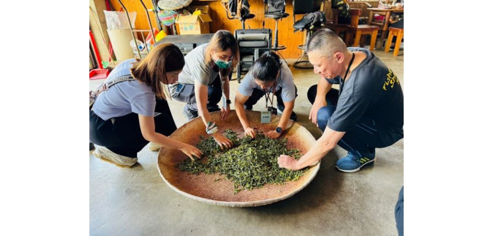 苗栗縣政府環保局舉辦環境教育增能培訓 探訪日新有機茶園(圖)