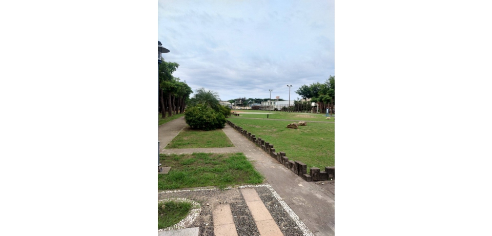 台電公司大林發電廠公園造景植樹減碳　嘉惠地方(圖)