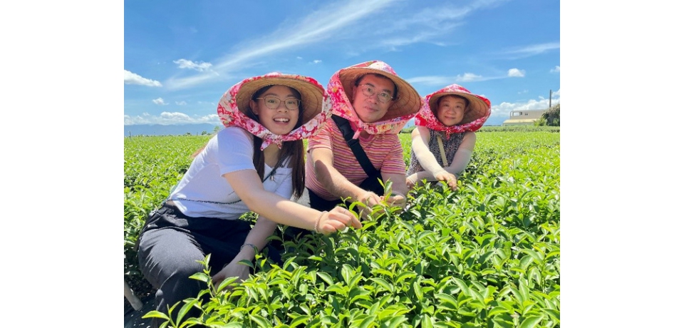 松嶺茶鄉體驗營即日起報名　參山處邀請大家來當一日製茶師(圖)