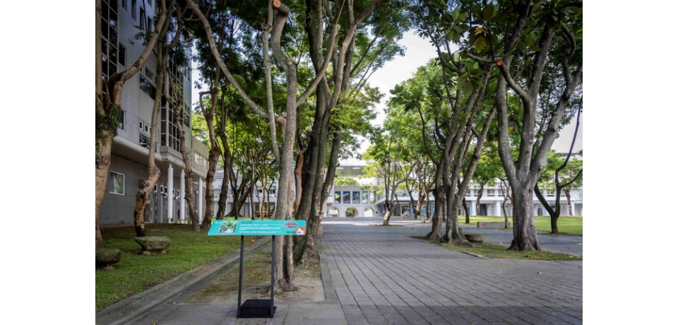 國立工藝中心「尋找顏水龍」特展　探究顏水龍對臺灣工藝的理想與實踐(圖)