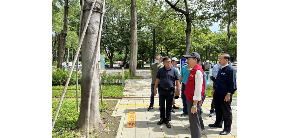 綠巨人挺過凱米颱風  捷運局持續關注沿線樹木恢復狀況(圖)