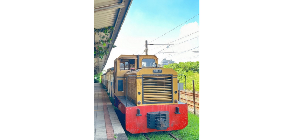 體貼父親的辛苦 爸爸節來台糖高雄花卉農園中心 即可享受烤肉加碼五分車的獨特體驗(圖)