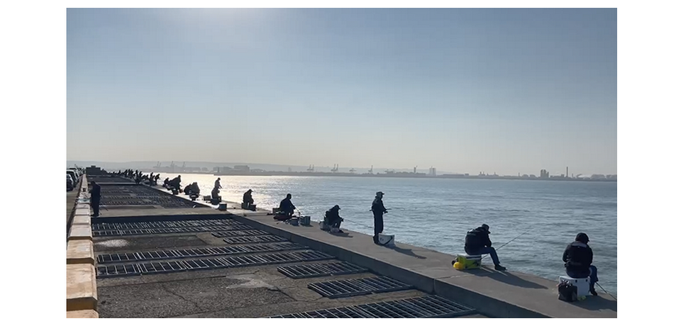 臺灣港務公司開放14處垂釣區域吸引14萬餘人次遊憩(圖)