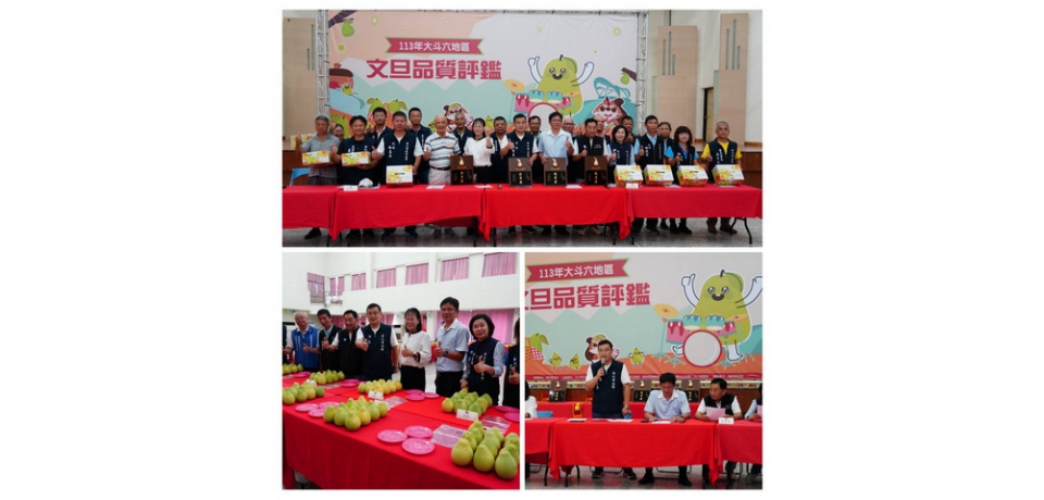113年大斗六地區文旦品質評鑑結果出爐(圖)