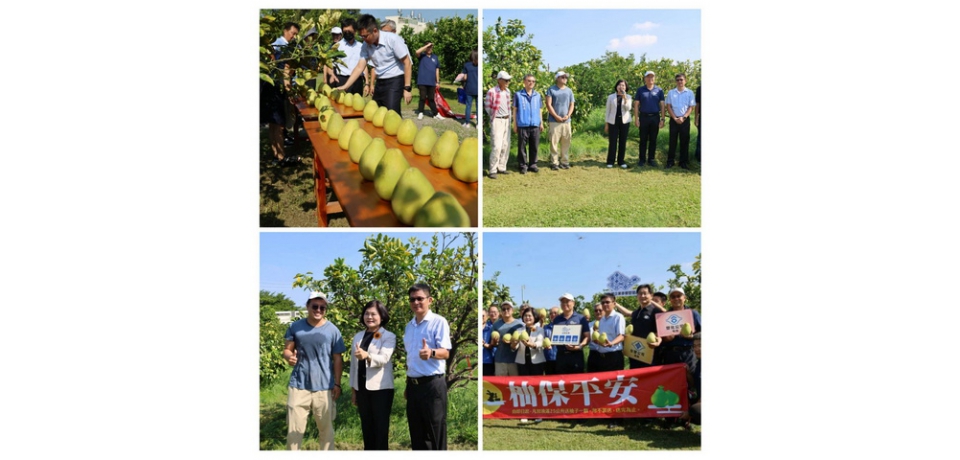 加油送文旦  雲林縣長張麗善感謝台塑企業認購行銷雲林文旦(圖)