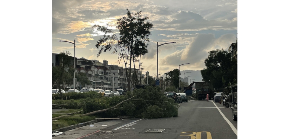 高市鐵路地下化園道風災後搶修完成 已恢復市容(圖)