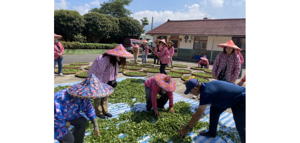 南投世界茶業博覽會品質提升計劃「茶鄉小旅行」安排國際遊客體驗台灣的茶聚會活動(圖)