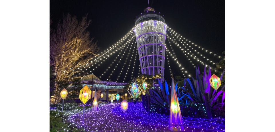 日本觀光局跨海在高雄捷運美麗島站 設立江之島旅遊景點介紹玻璃牆 強力宣傳觀光盛景(圖)