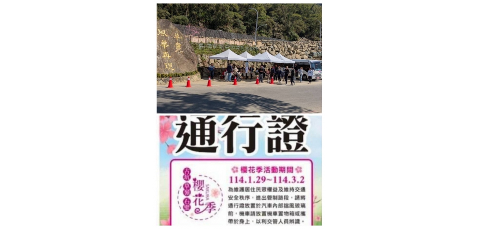雲林縣草嶺櫻花紛開 交通接駁車順暢通行(圖)