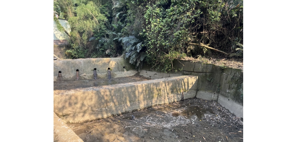 汛前維護勝於災後搶修 台中市水利局加強野溪、滯洪池清疏維護作業(圖)