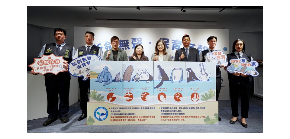 「斷劍無聲，保育有聲」海保署與海巡署聯手查緝非法販售鋸鰩產製品 展現守護海洋生態之決心與執行力(圖)