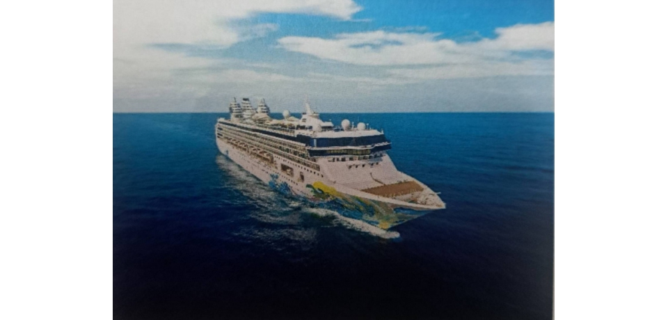 麗星夢郵輪雙船聯手  打造高雄多元新航線(圖)