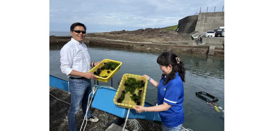 致力海洋永續 新北市府攜手產官學放流海洋生物(圖)