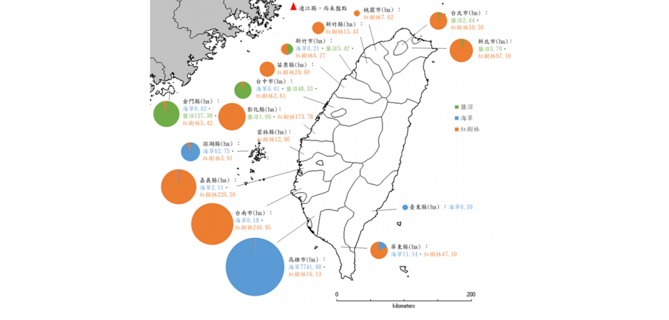 海草復育與紅樹林植林方法學正式通過　開啟藍碳治理新契機(圖)