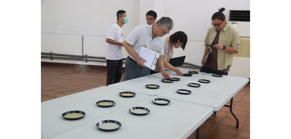 草屯114年稻米達人前進全國拚金牌 田間競技展實力行銷在地優質好米(圖)