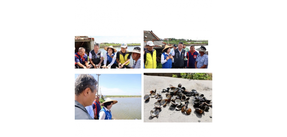 不敵連續暴雨 雲林沿海養殖文蛤幾全軍覆沒 張麗善縣長爭取中央從速救助 幫漁民度難關(圖)