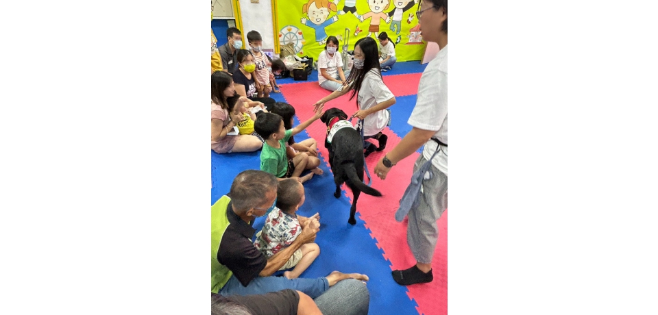 草屯療養院舉辦「與狗相癒、親子同遊」家屬座談會 陪伴犬助孩子療育成長(圖)