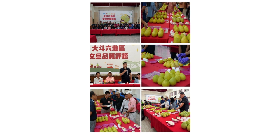 斗六市公所舉辦大斗六地區文旦品質評鑑　(圖)