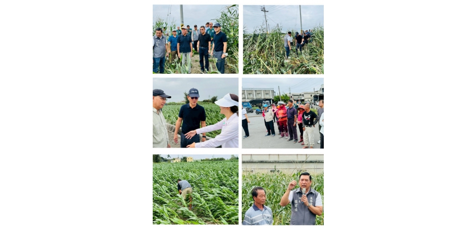 立委劉建國邀集相關單位緊急勘災　要求加速啟動玉米農損補助機制(圖)