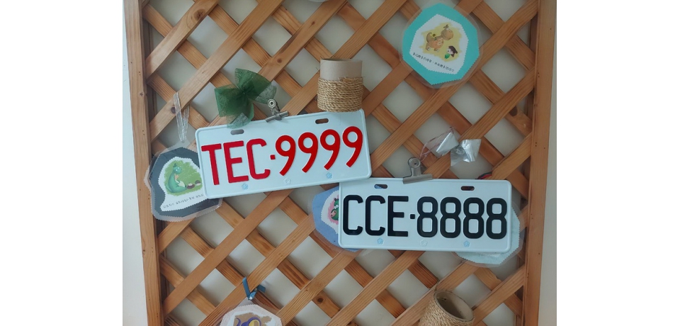 高雄區監理所標售汽、機車新式號牌(圖)