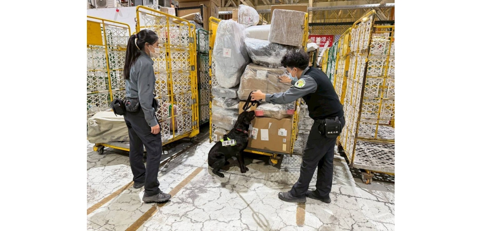 高雄關協同防檢署高雄分署加強查核海運快遞貨物 強化邊境防疫(圖)