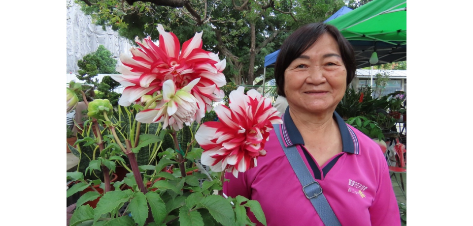 2026年勞工公園「金馬奔騰迎春花卉展登場囉(圖)