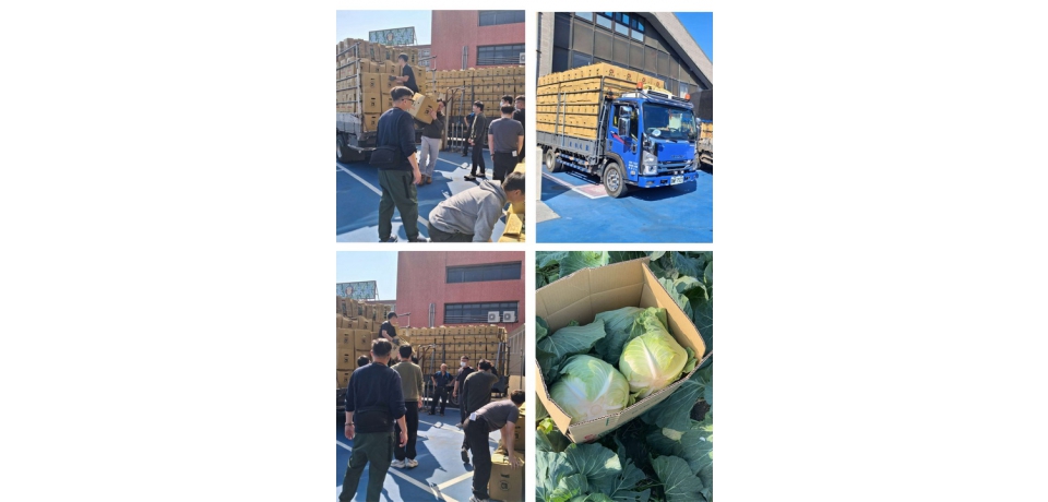 縣市攜手合作穩定產銷　嘉義市新北市主動採購雲林高麗菜　讓農民過好年(圖)