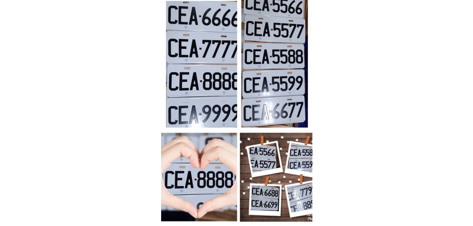 雲林監理站辦理自用小客貨車號牌網路競標(圖)