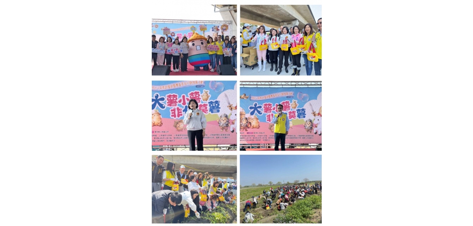 斗南馬鈴薯節熱鬧登場 千人下田體驗採收推廣食農教育(圖)