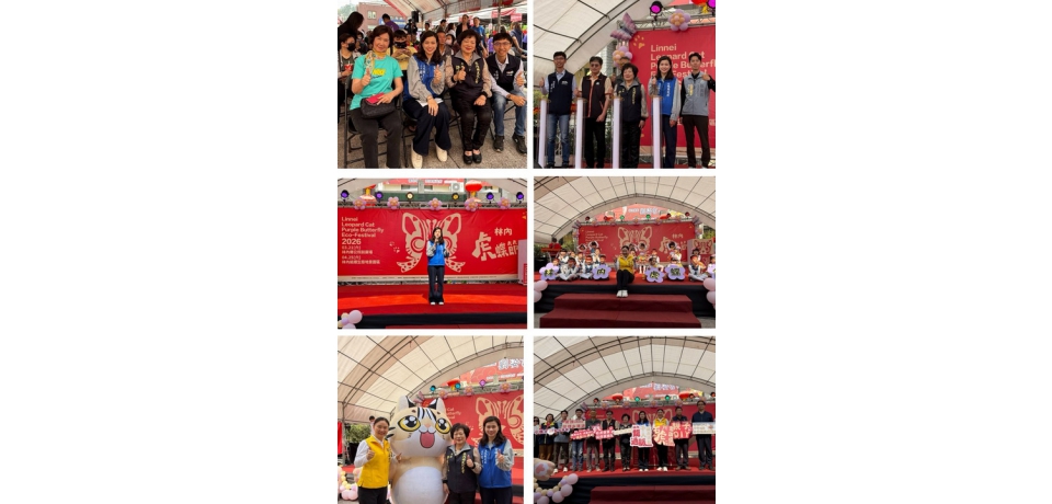 虎蝶齊舞石虎現蹤　林內生態盛事熱鬧開幕(圖)