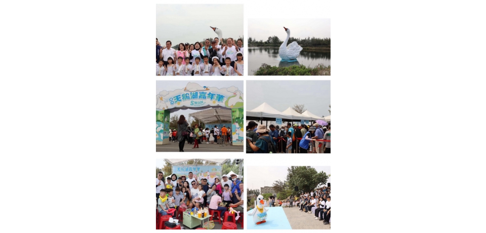 8米巨型天鵝閃耀登場 「雲林天鵝湖嘉年華」盛大開幕  嗨翻兒童節連假(圖)