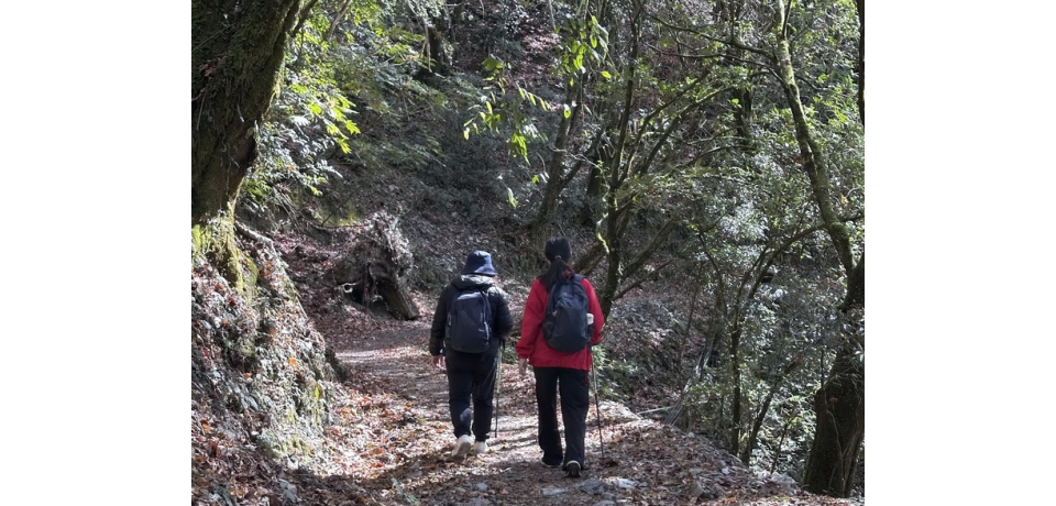 雨季登山風險增 林業保育署南投分署提醒安全第一(圖)