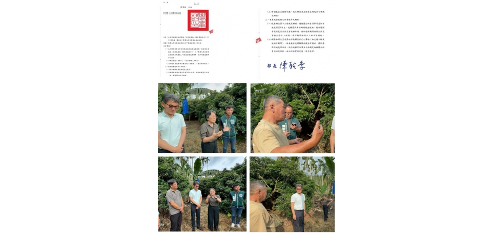 雲林全品項荔枝納入天然災害現金救助　5月16日起受理申請(圖)